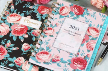 2021 Monthly and Weekly Planner Just $5.12 (Reg. $12)!
