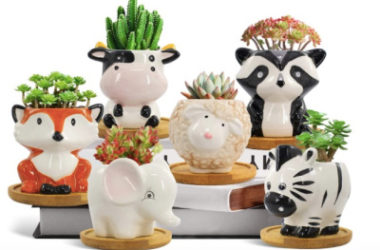 Cute! Set of 6 Succulent Animal Pots Only $14.03 (Reg. $22)!