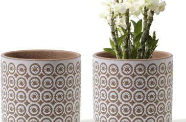 TWO Ceramic Planters for just $10.99!!