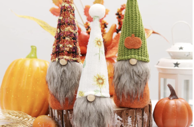 Set of Fall Gnomes for just $14.49!