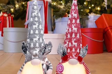 TWO Lighted Christmas Gnomes for $10.99!