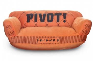 Friends PIVOT Dog Toy for $9.16!!