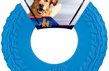Nerf Dog Atomic Flyer for $4.44!!