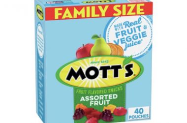 Mott’s Fruit Snacks, 40 Pouches, Just $6.83!