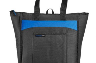 Rachael Ray Chillout Thermal Tote Bag Only $11.19!