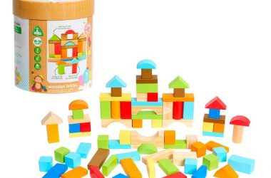Early Learning Centre Wooden Bricks Only $10.59 (Reg. $20)!