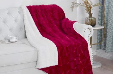 Soft Sherpa Fleece Blanket Only $10.49 (Reg. $21)!
