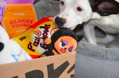 Don’t Forget Your Pets This Christmas! Join BarkBox and Get Your First Box for Just $19.50!