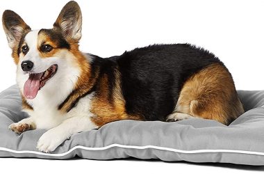 Amazon Basics Dog Pillow Bed for $8.25!!