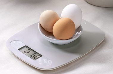 Digital Food Scale Only $6.99!