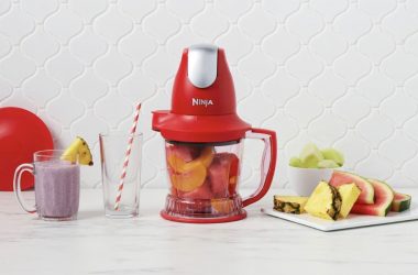 Ninja Storm 40 oz. Food and Drink Maker with Recipes Only $34.99!
