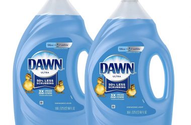 Stock Up! Grab 2 Large Dawn Dish Soaps For As Low As $14.35!