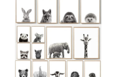 Set of 3 Animal Pictures Only $12.77 (Reg. $54)!