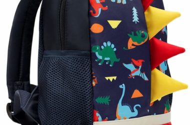 Dinosaur Backpack for just $11.99!