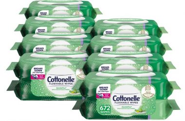 Cottonelle GentlePlus Flushable Wet Wipes (Pack of 16) As Low As $14.24!