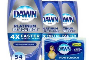 Dawn Dish Soap EZ-Squeeze Platinum Dishwashing Liquid As Low As $8.72!