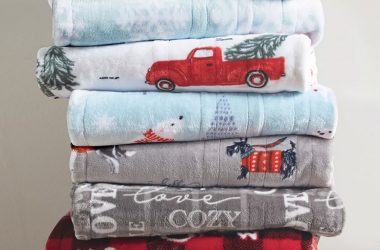 Electric Throw Blankets Only $19.99 (Reg. $100)!