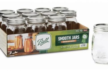 Grab 12 Ball Regular Mouth Pint Jars for Just $11.97! Perfect for Canning!